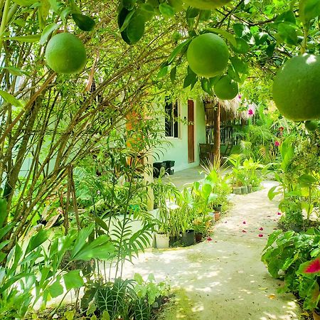 Las Palmas Bacalar Buitenkant foto