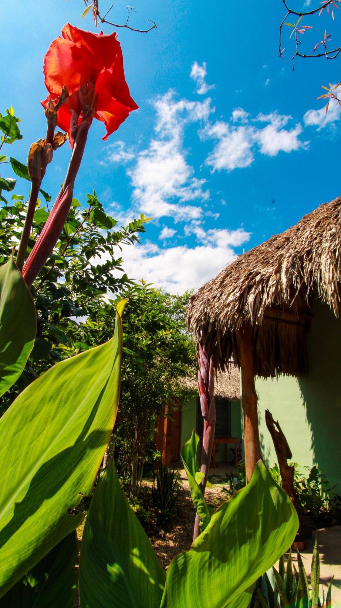 Las Palmas Bacalar Buitenkant foto