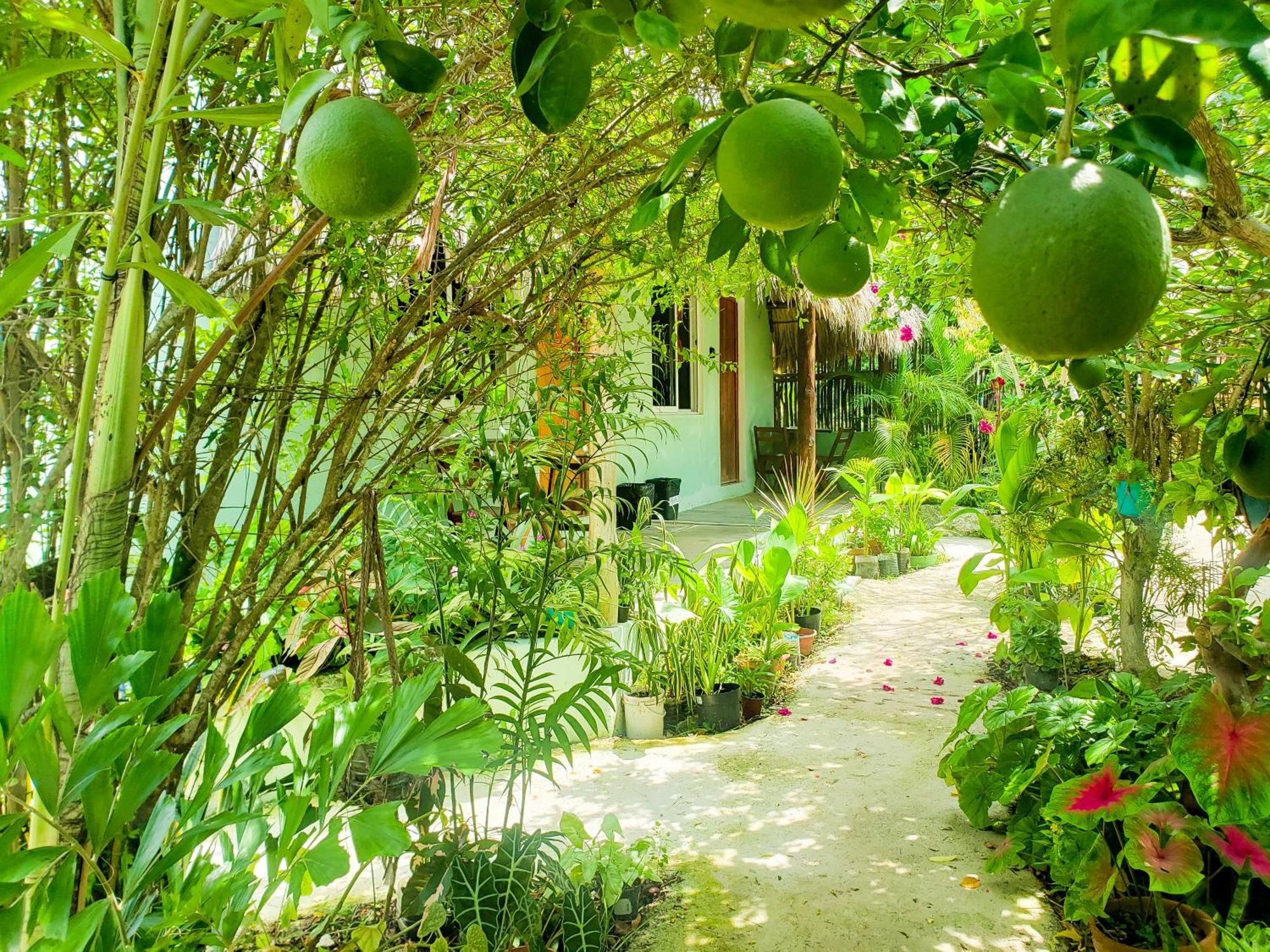 Las Palmas Bacalar Buitenkant foto