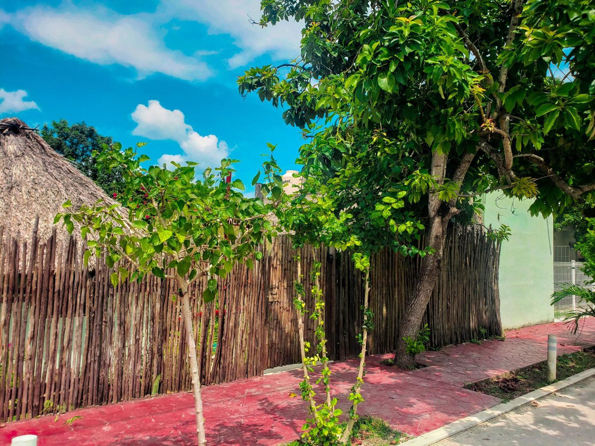 Las Palmas Bacalar Buitenkant foto